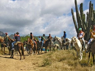  Equitation 